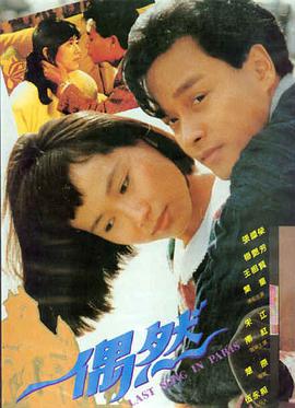 玻璃玫瑰档案